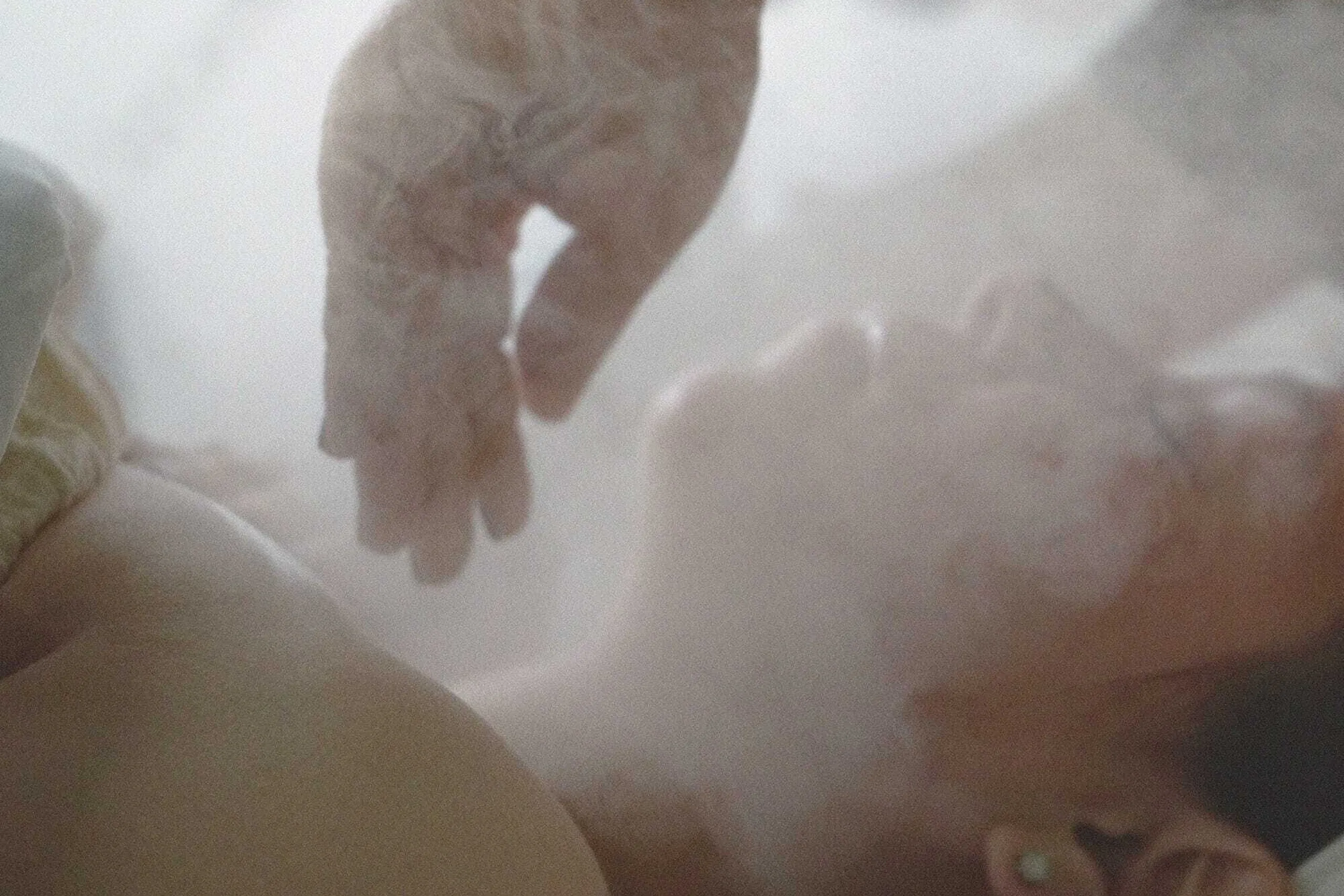 Dominique rivas t Vgjf Jd IU unsplash