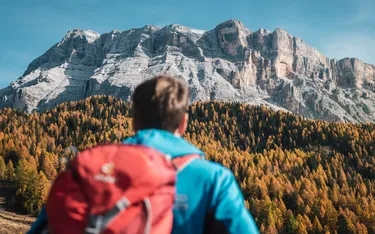 Person mit Rucksack blickt auf herbstliche Baumwälder vor den Dolomiten.