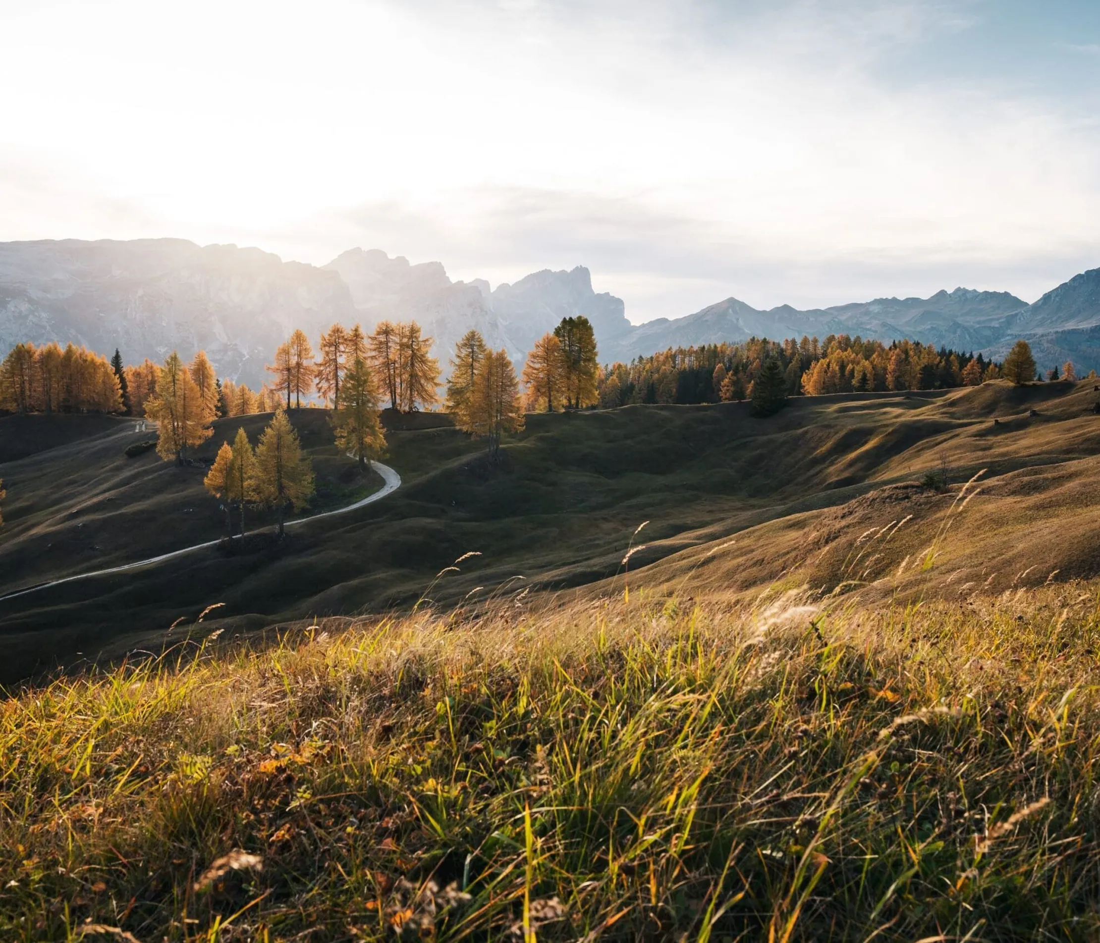 Weite grüne Hügel mit goldenen Bäumen unter einem bewölkten Himmel, umgeben von Bergketten in einer Landschaf in Alta Badia, Dolomiten.