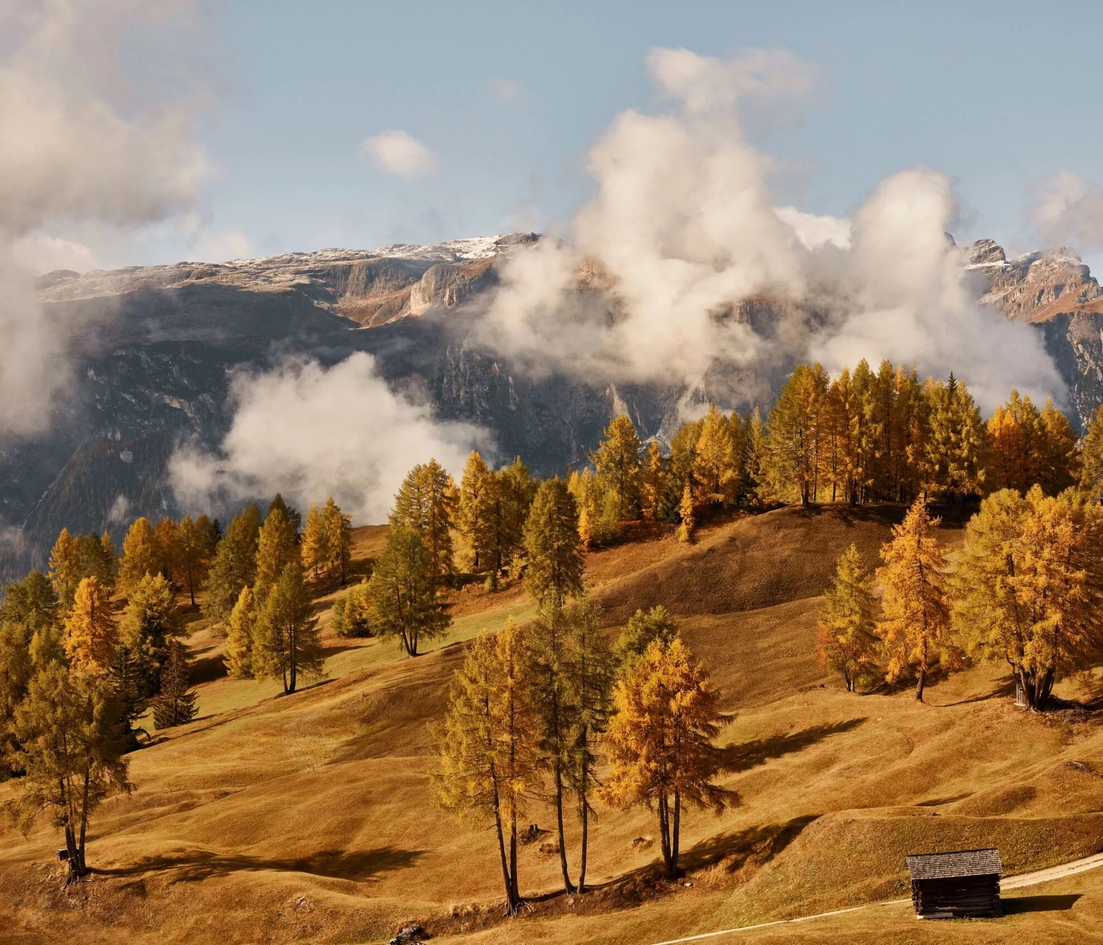 Berglandschaft mit goldgelben Baumgruppen auf sanften Hügeln, im Hintergrund schneebedeckte Gipfel und Wolken in blauem Himmel.