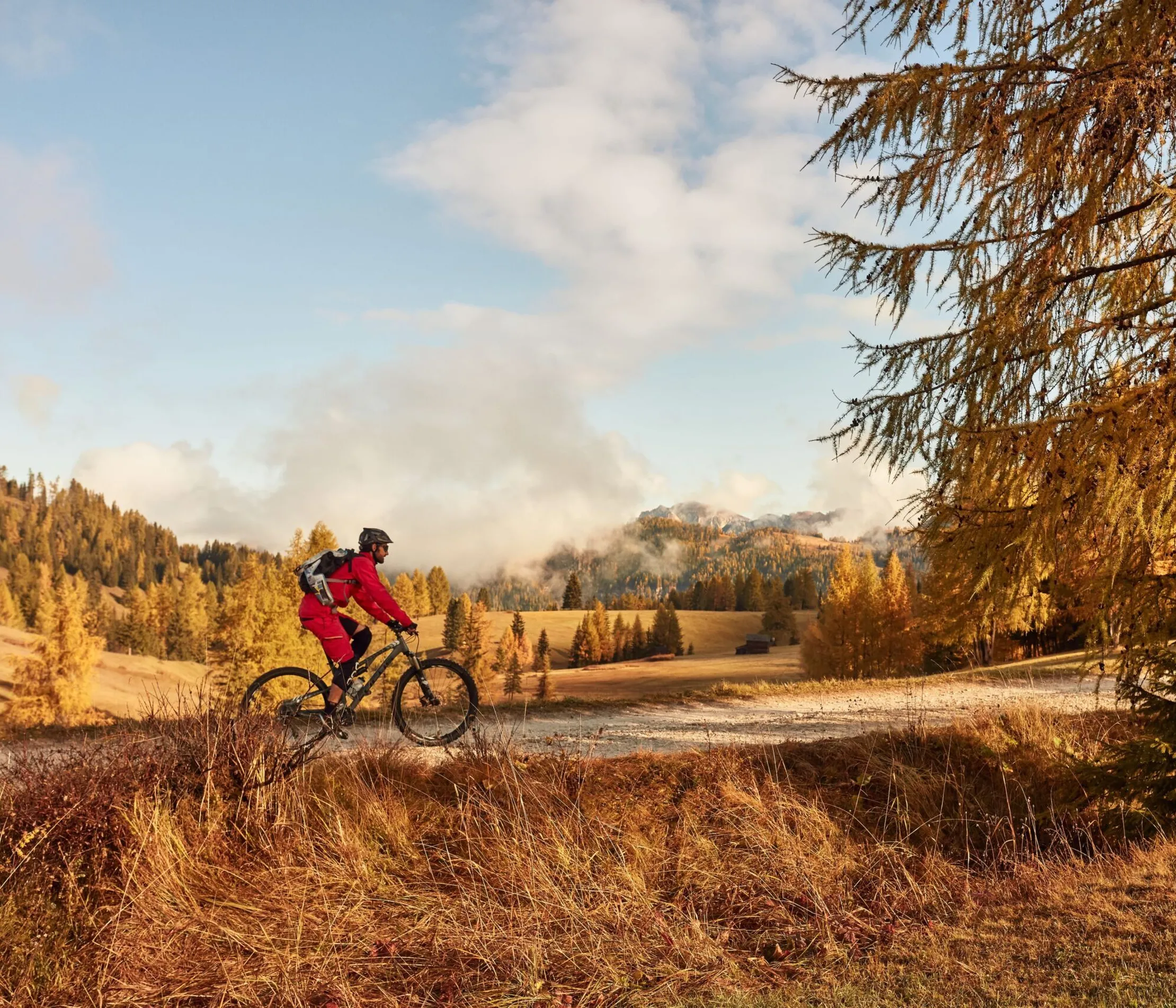 Escursionista in mountain bike su un sentiero tra alberi autunnali nelle Dolomiti, con montagne e nuvole sullo sfondo in una giornata soleggiata.