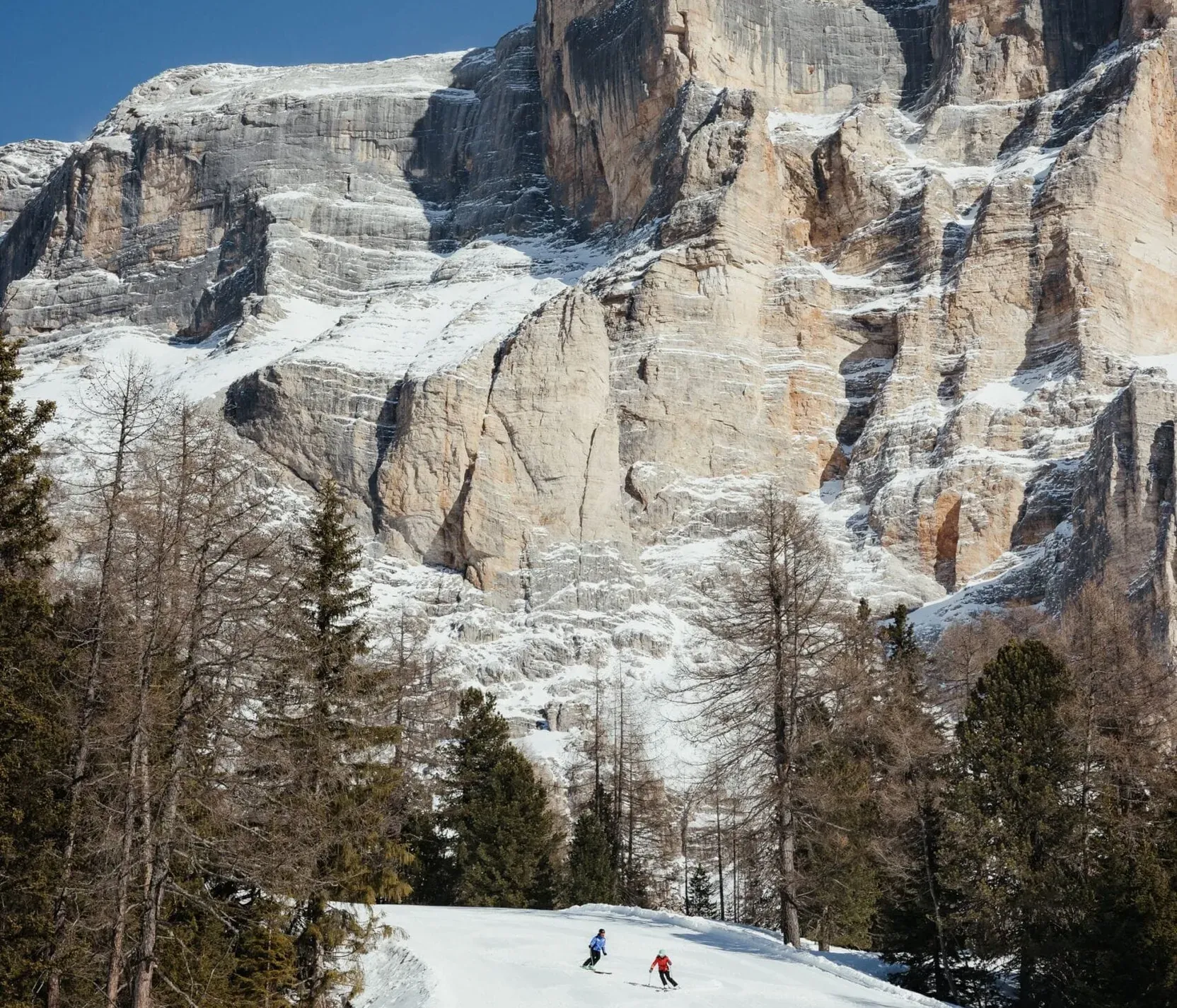 Zwei Skifahrer auf einer verschneiten Piste vor beeindruckenden Granitfelsen in den Dolomiten, umliegende Bäume und klarer blauer Himmel.