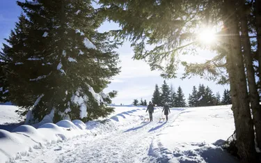Zweispurige Skipisten im Schnee mit zwei Personen, die Schlitten ziehen, umgeben von Tannenbäumen, unter blauem Himmel und Sonnenlicht in den Dolomiten.